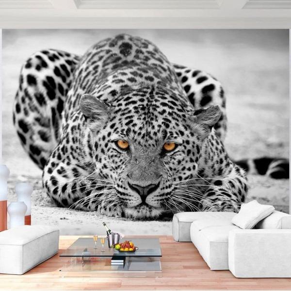 leopard_600x600